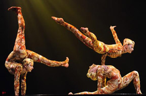 Image of Kingston Trampoline Academy in action